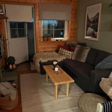 Apartmán Leilighet Pa Gautefall Drangedal Exteriér fotografie