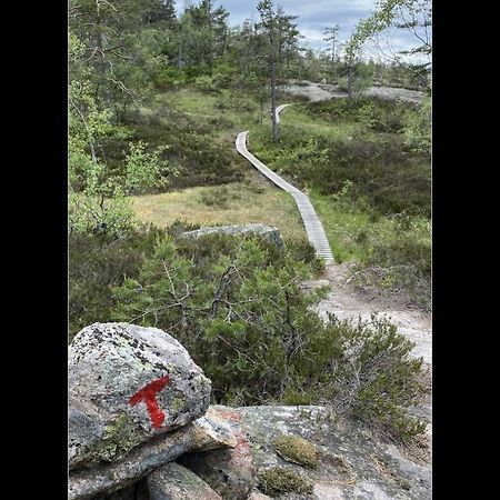 Apartmán Leilighet Pa Gautefall Drangedal Exteriér fotografie