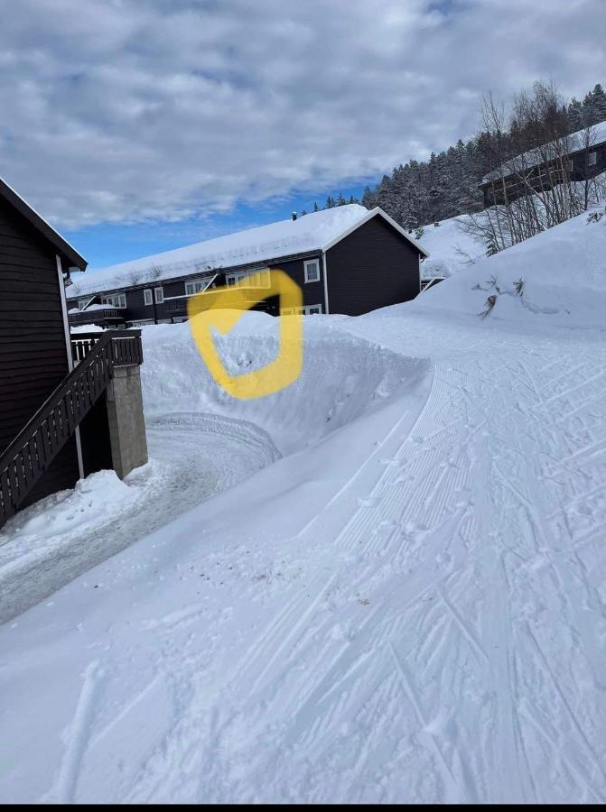 Apartmán Leilighet Pa Gautefall Drangedal Exteriér fotografie