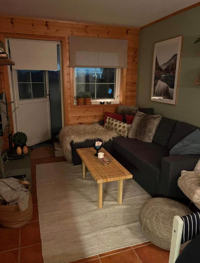 Apartmán Leilighet Pa Gautefall Drangedal Exteriér fotografie